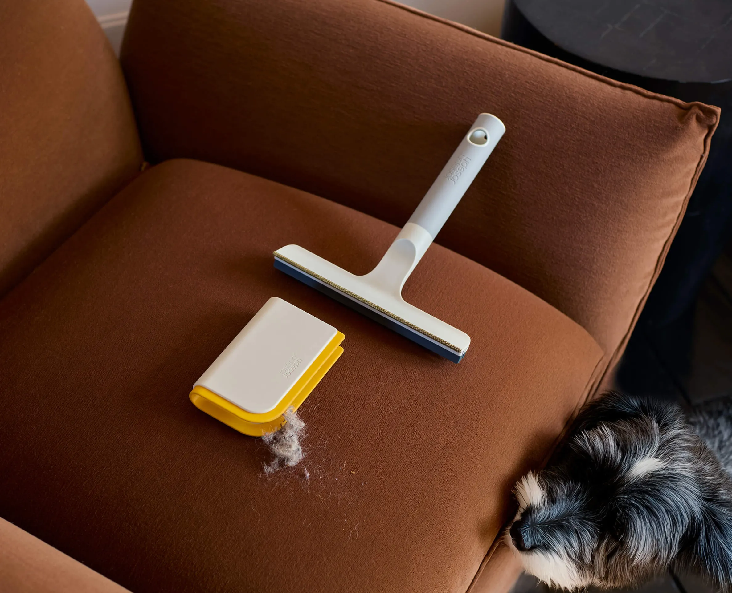 CleanTech™ Pet Hair & Carpet Cleaning Set