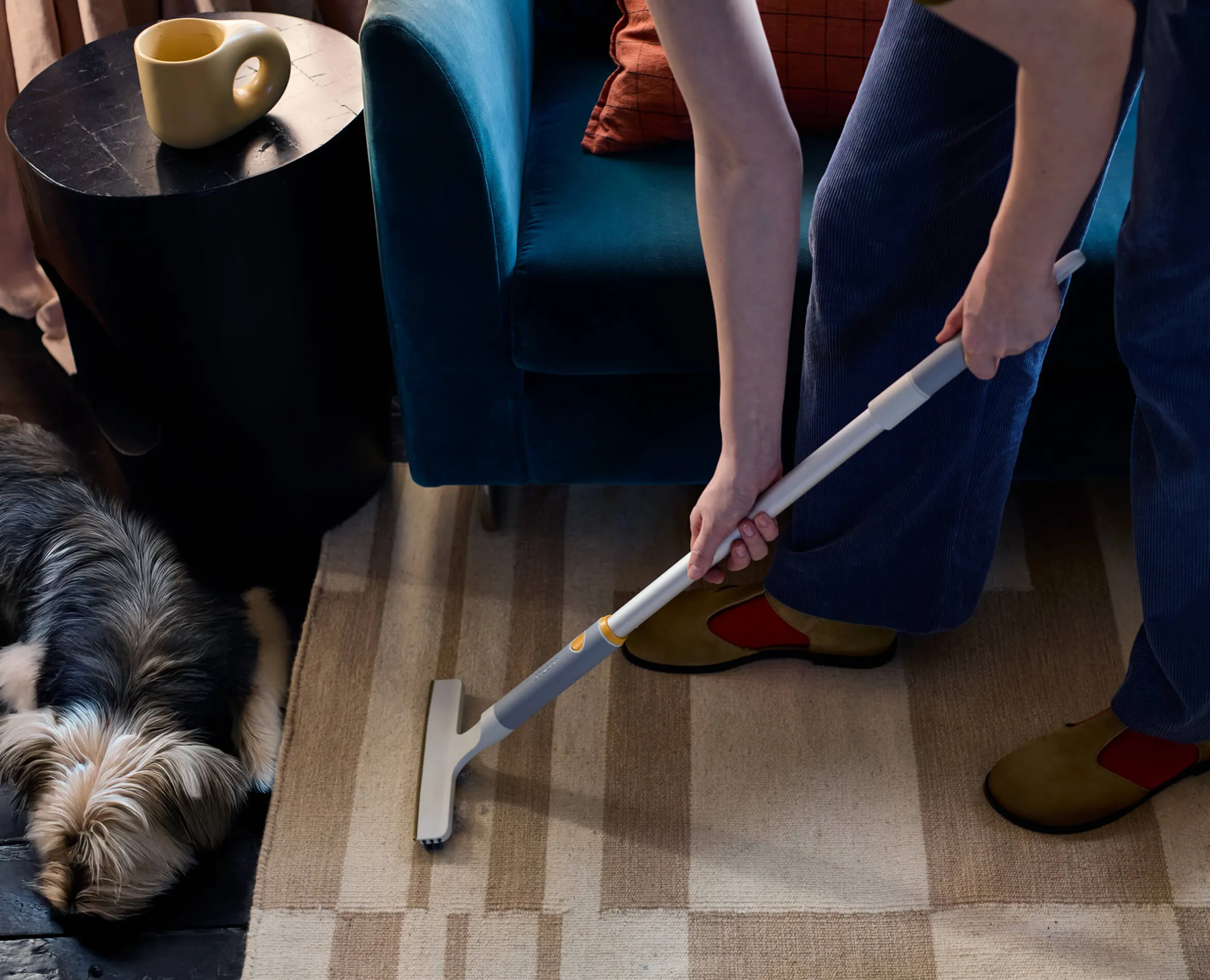 CleanTech™ Pet Hair & Carpet Cleaning Set