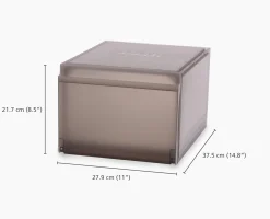 ShoeCase 2-piece Gray Shoe Storage Box