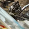 SinkTech™ Dish Brush with Replacement Head