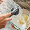 SinkTech™ Soap Dispensing Dish Brush with Replacement Head & Extra Heads
